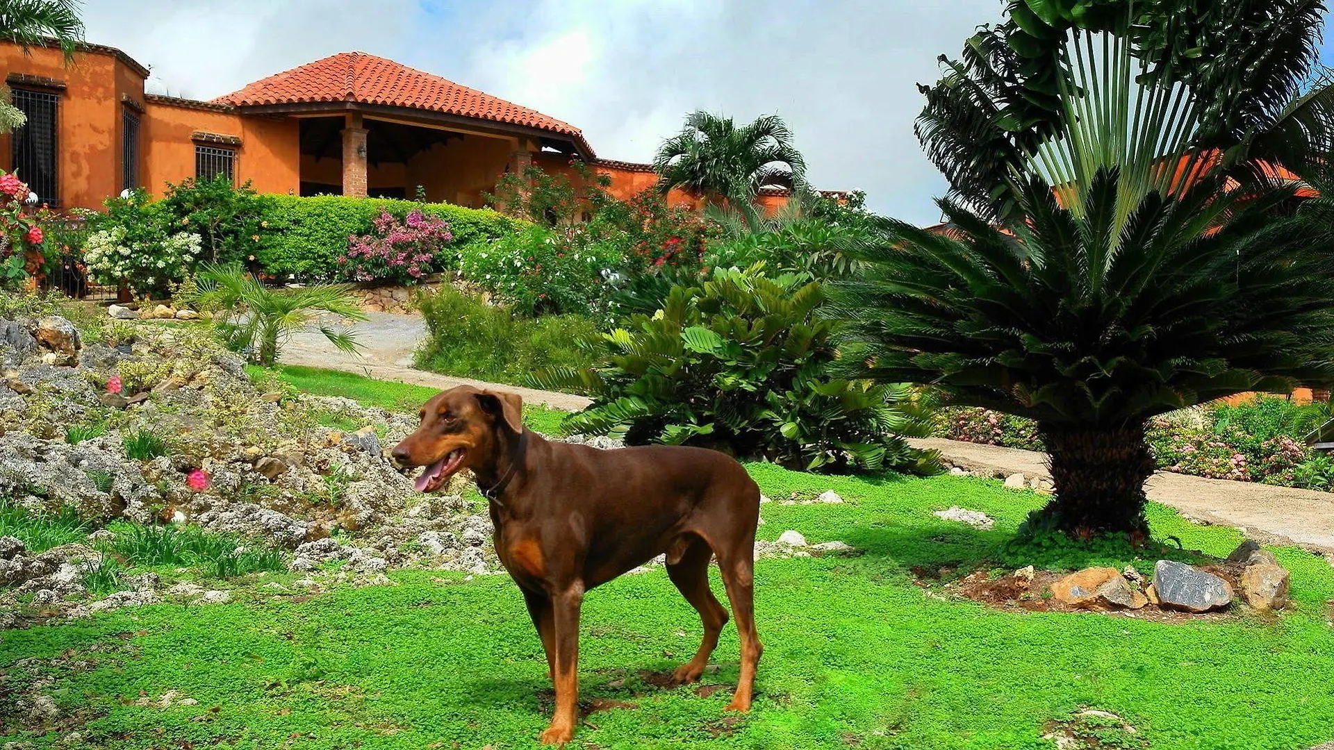 Monte Placido Vacation Homes Las Terrenas Apartman